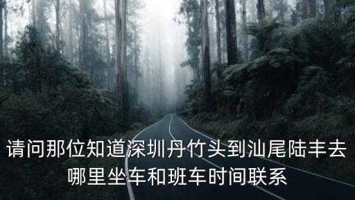 深圳丹竹頭愿者上鉤電話號碼，深圳丹竹頭汽車站客服電話是多少
