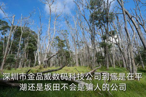 深圳市金品威數碼科技公司到底是在平湖還是坂田不會是騙人的公司