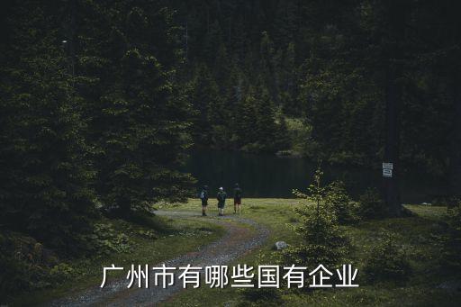 廣州開發區國有企業，廣州市有哪些國有企業