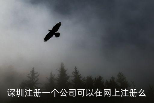 深圳注冊一個公司可以在網上注冊么