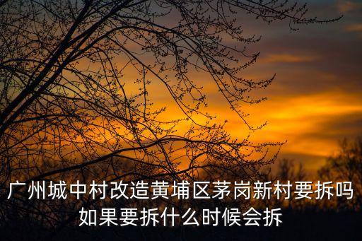 廣州茅崗項目，廣州蘿崗規劃的五橫七縱半環交通網絡究竟分別指的是哪些道