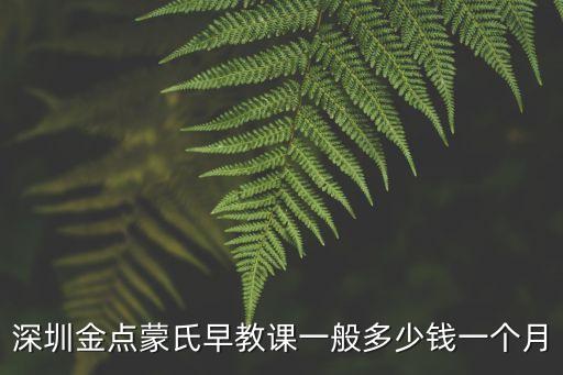 深圳金點蒙氏早教課一般多少錢一個月