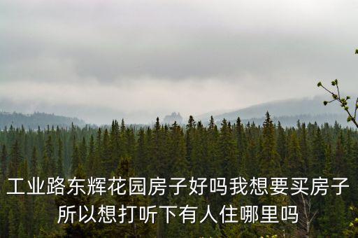 工業路東輝花園房子好嗎我想要買房子所以想打聽下有人住哪里嗎