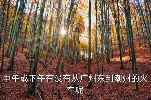中午或下午有沒有從廣州東到潮州的火車呢
