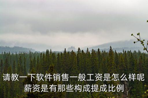 廣州宏光軟件銷售年薪，請教一下軟件銷售一般工資是怎么樣呢薪資是有那些構成提成比例