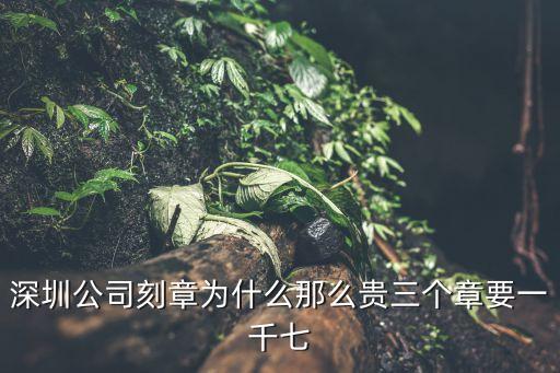 深圳創業印章待遇，請問深圳南山科技園附近比較大的那個刻公章公司叫什么名字在深