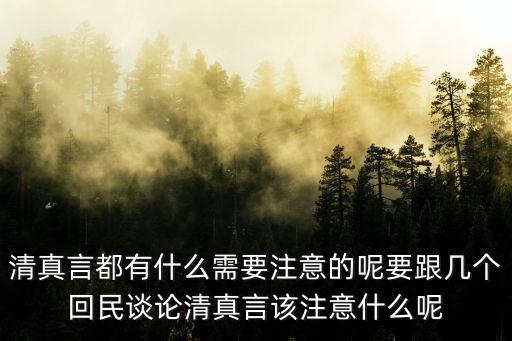清真言都有什么需要注意的呢要跟幾個回民談論清真言該注意什么呢