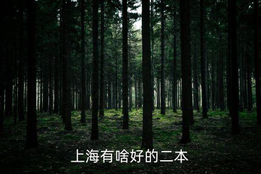 上海有啥好的二本