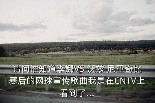 沃茲尼亞奇,沃茲尼亞奇和納達爾是情侶嗎?
