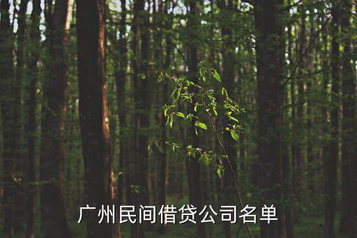 廣州民間借貸公司名單