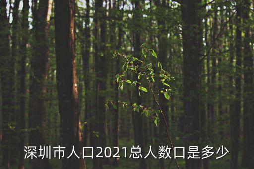 深圳市人口2021總人數口是多少