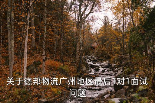 關(guān)于德邦物流廣州地區(qū)最后1對(duì)1面試問題