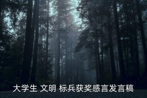 大學生 文明 標兵獲獎感言發言稿
