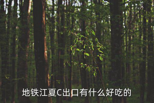 廣州江夏附近景點美食，地鐵江夏C出口有什么好吃的