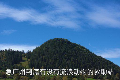 急廣州到底有沒有流浪動物的救助站