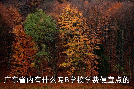 廣州華南商貿學院學費，廣州華南商貿職業學院學費多少