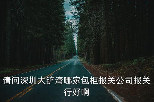 請問深圳大鏟灣哪家包柜報關公司報關行好啊