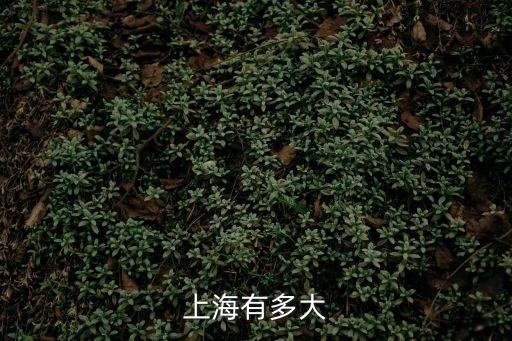 上海市 森林面積是多少，到目前為止 200910 上海人均綠化面積是多少