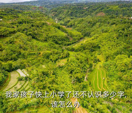我家孩子快上小學了還不認識多少字,該怎么辦