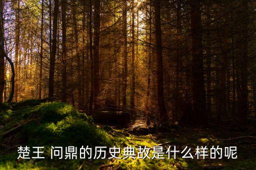 楚王 問鼎的歷史典故是什么樣的呢