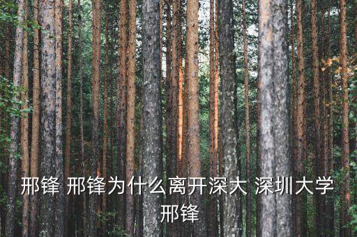 邢鋒 邢鋒為什么離開深大 深圳大學 邢鋒