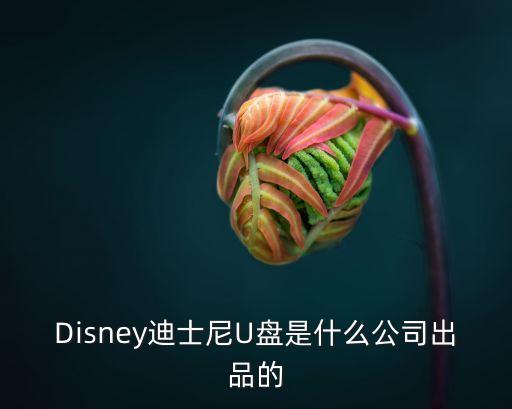 深圳市迪斯尼影業發展有限公司，請問迪斯尼影業的聯系方式是多少啊