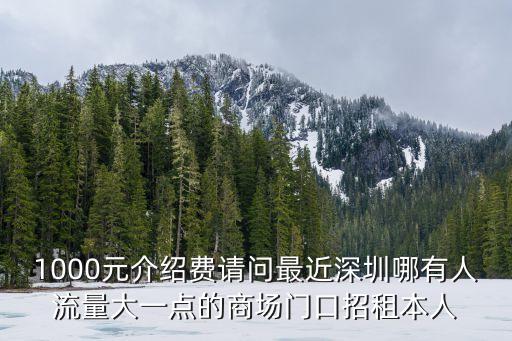 深圳中洲商場招租，深圳沙井博崗大廈南山海雅百貨打的要多少錢