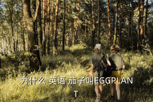 茄子英語怎么說,這是一個茄子英語怎么說