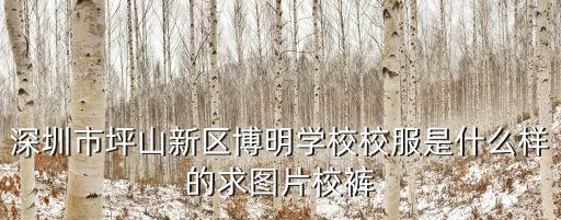 深圳校褲街拍，深圳市坪山新區(qū)博明學(xué)校校服是什么樣的求圖片校褲