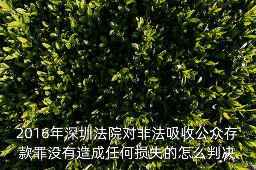 2016年深圳法院對非法吸收公眾存款罪沒有造成任何損失的怎么判決