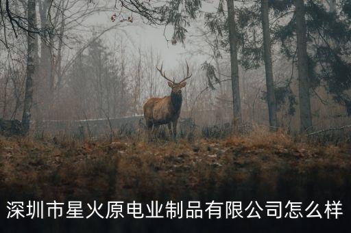 深圳市星火原電業制品有限公司怎么樣