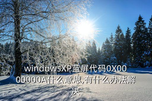 windowsXP藍屏代碼0X0000000A什么意思,有什么辦法解決