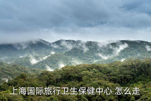 上海國際旅行衛(wèi)生保健中心 怎么走
