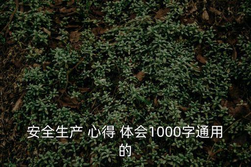 安全生產(chǎn) 心得 體會(huì)1000字通用的