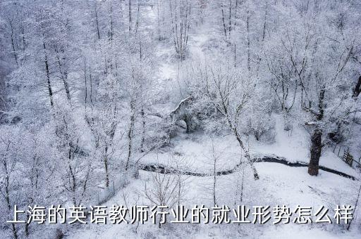 上海市教師行業(yè)發(fā)展?fàn)顩r，上海的英語教師行業(yè)的就業(yè)形勢(shì)怎么樣