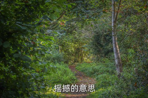 搖撼的近義詞,震撼近義詞