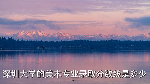 深圳大學(xué)的美術(shù)專業(yè)錄取分數(shù)線是多少