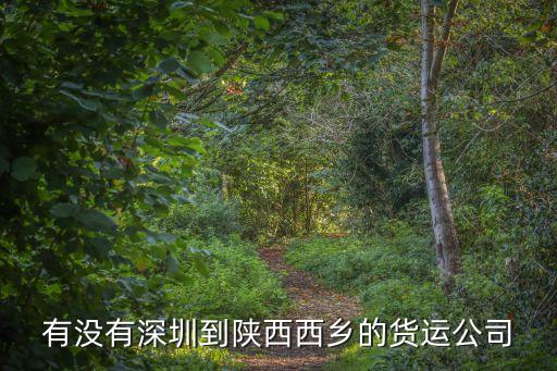 深圳環宇貨運公司，有沒有深圳到陜西西鄉的貨運公司