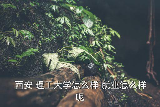  西安 理工大學怎么樣 就業(yè)怎么樣呢