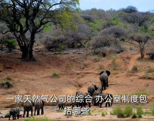 辦公室規(guī)章制度,機關事務管理局辦公室規(guī)章制度