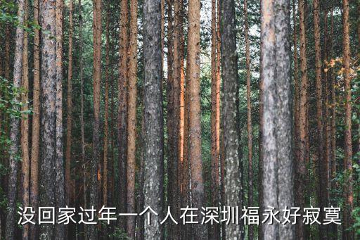 沒回家過年一個人在深圳福永好寂寞