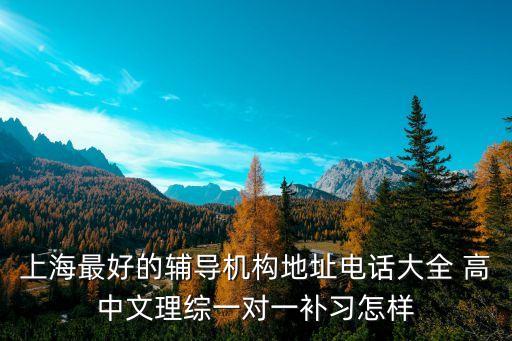 上海市保衛干部培訓中心電話，上海最好的輔導機構地址電話大全 高中文理綜一對一補習怎樣