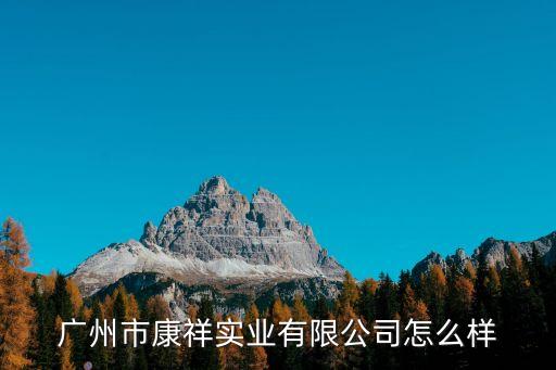 廣州市康祥實業有限公司怎么樣