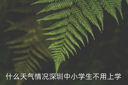 什么天氣情況深圳中小學(xué)生不用上學(xué)