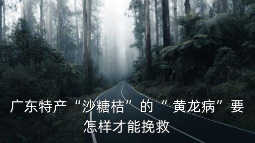 廣東特產“沙糖桔”的“ 黃龍病”要怎樣才能挽救
