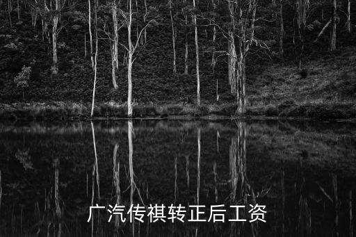 廣汽傳祺轉正后工資
