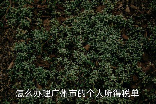 廣州代辦稅單，怎么辦理廣州市的個人所得稅單