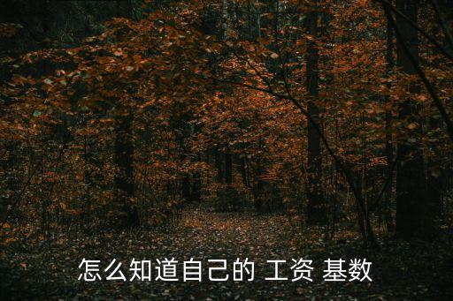 怎么知道自己的 工資 基數