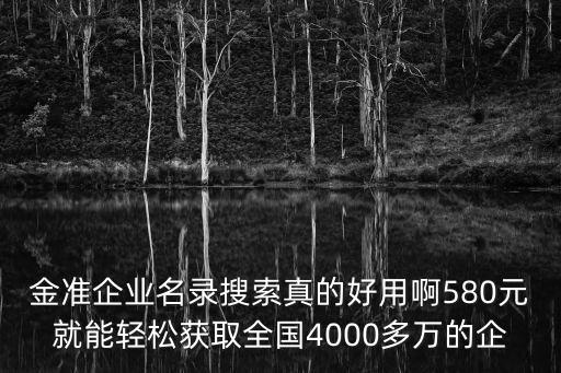 金準(zhǔn)企業(yè)名錄搜索真的好用啊580元就能輕松獲取全國(guó)4000多萬(wàn)的企