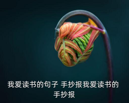 關(guān)于閱讀的手抄報(bào)簡(jiǎn)單又漂亮,三年級(jí)關(guān)于閱讀的手抄報(bào)簡(jiǎn)單又漂亮